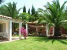 Photo of 7 Bedroom House in Faro, PORTUGAL